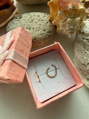 Implant Grade Titanium Hinged Hoop Segment Clicker Ring Gold PVD- Earrings 7mm